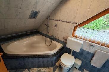 پانسیون Room Janez
