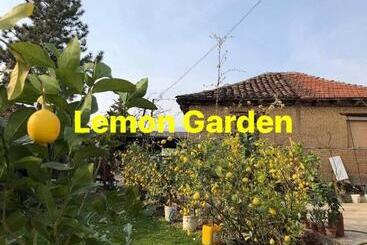 هاستل Lemon Garden