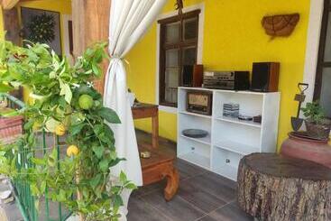 هاستل Lemon Garden