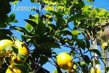 هاستل Lemon Garden
