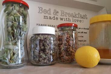 هاستل Lemon Garden