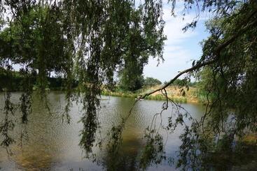تختخواب و صبحانه La Ferme Du Bascou