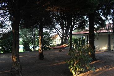 تختخواب و صبحانه Solar Da Boavista
