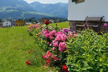 هتل Schusterhof