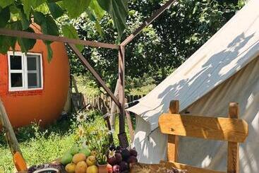 پانسیون Hovek Guest House