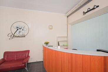 Yasmina Hostel