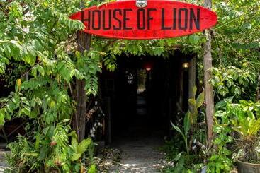 پانسیون House Of Lion Hostel And Guesthouse