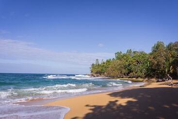 تختخواب و صبحانه Turtle Beach House