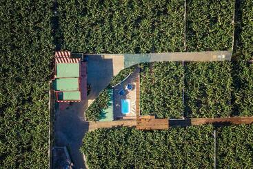 호텔 Hacienda La Dehesa
