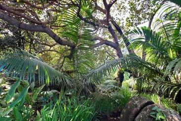 پانسیون Cashew Nut Grove Chalets