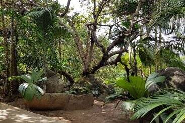 پانسیون Cashew Nut Grove Chalets