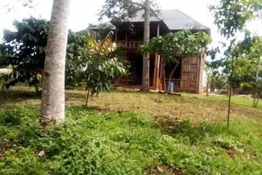 هتل Jungle Lodge Kibale