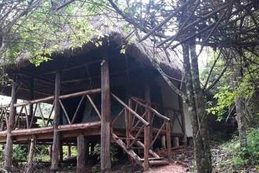 هتل Jungle Lodge Kibale