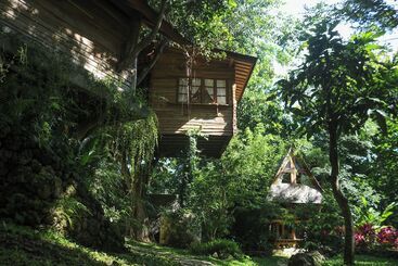 هتل Roots Tree House
