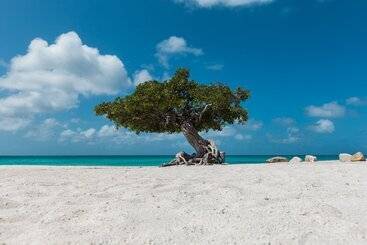 اقامتگاه Oceania 452