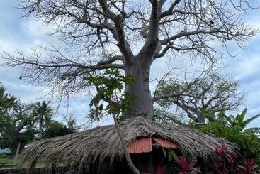 تختخواب و صبحانه Salama Eco Lodge And Hostel