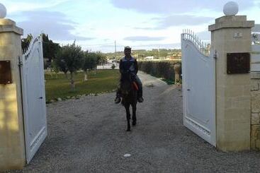 تختخواب و صبحانه Apollonion Country House