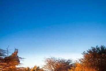 هتل Mara Leisure Camp