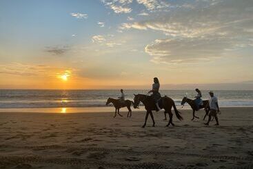 هتل Royal Mancora