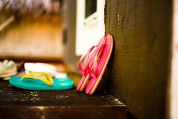 تختخواب و صبحانه Paradise Cove Lodge