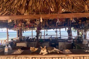 هتل Promised Land Lodge