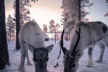 استراحتگاه Aurora Village Ivalo