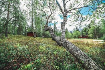 استراحتگاه Ukonjärven Holiday Village