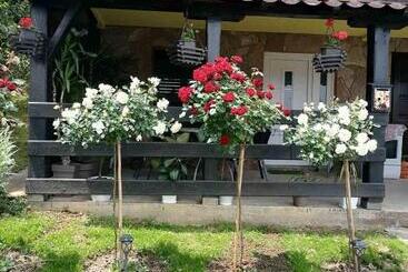 پانسیون Guesthouse Djuro