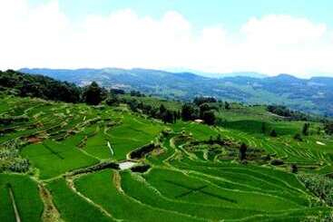 호스텔 Belinda Backpackers Guesthouse