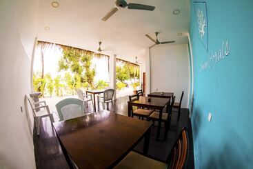 Seven Corals - Maafushi