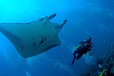 استراحتگاه Bandos Maldives