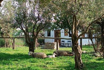 پانسیون Cortijo De Amor