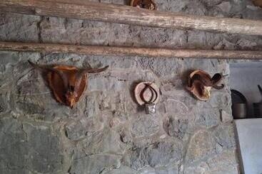 هاستل Rural Homestead Vujosevic