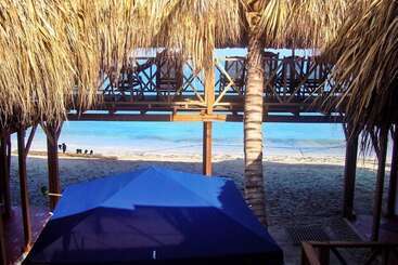 پانسیون Bamboo Rincon Del Mar