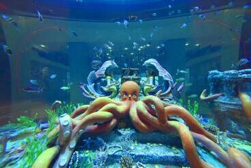 هتل Dolphin Bay