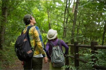 Hokuryuko Hotel North Nagano   Vacation Stay 14781v