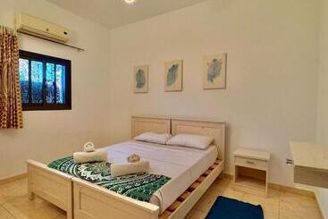 Palma Oasis Hostel