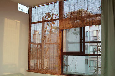 هاستل Living Art Museum Inn