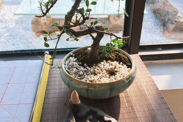 هاستل Living Art Museum Inn