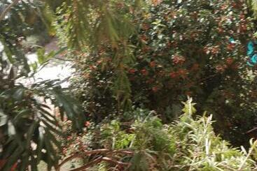 هتل The Paradise In Kilimanjaro