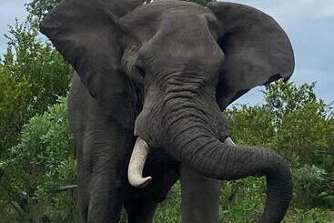 پانسیون Overnight Stop Before Kruger National Park