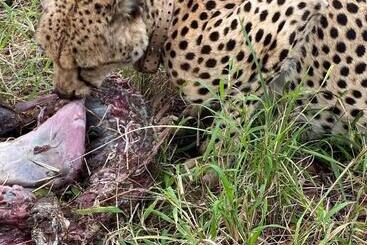 پانسیون Overnight Stop Before Kruger National Park