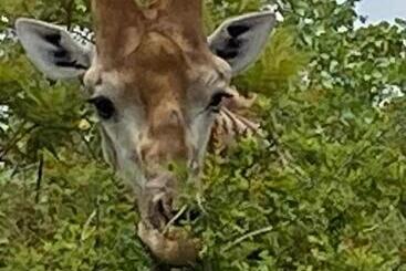 پانسیون Overnight Stop Before Kruger National Park