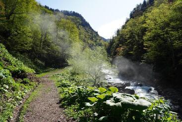 ریوکان Shikishimaso