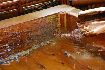 Sakaya Ryokan Yoshina Onsen