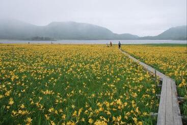 تختخواب و صبحانه Lake Village Donaludo Pension