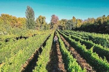 Cava Colchagua Hotel Boutique