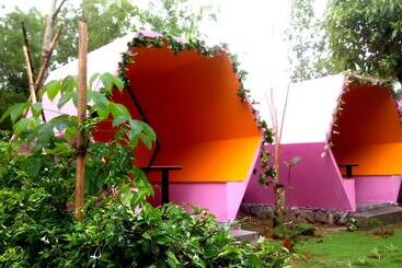 هتل Camellia Resort & Spa