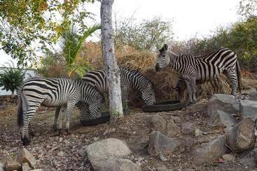 هتل Lake Kariba Inns