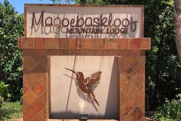 هتل Magoebaskloof Mountain Lodge